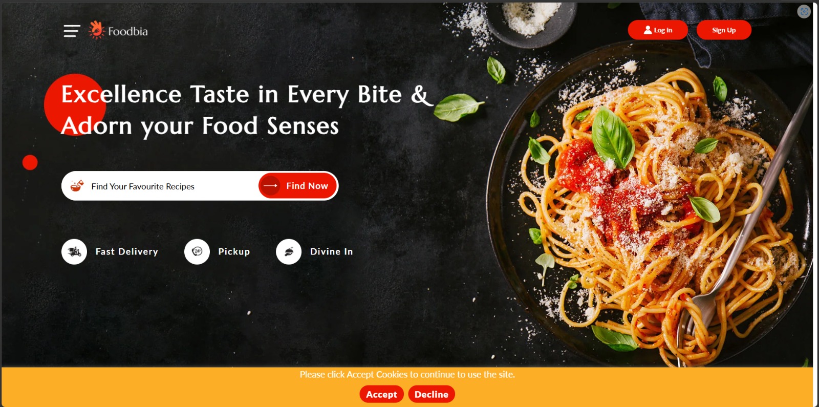 Portfolio Website